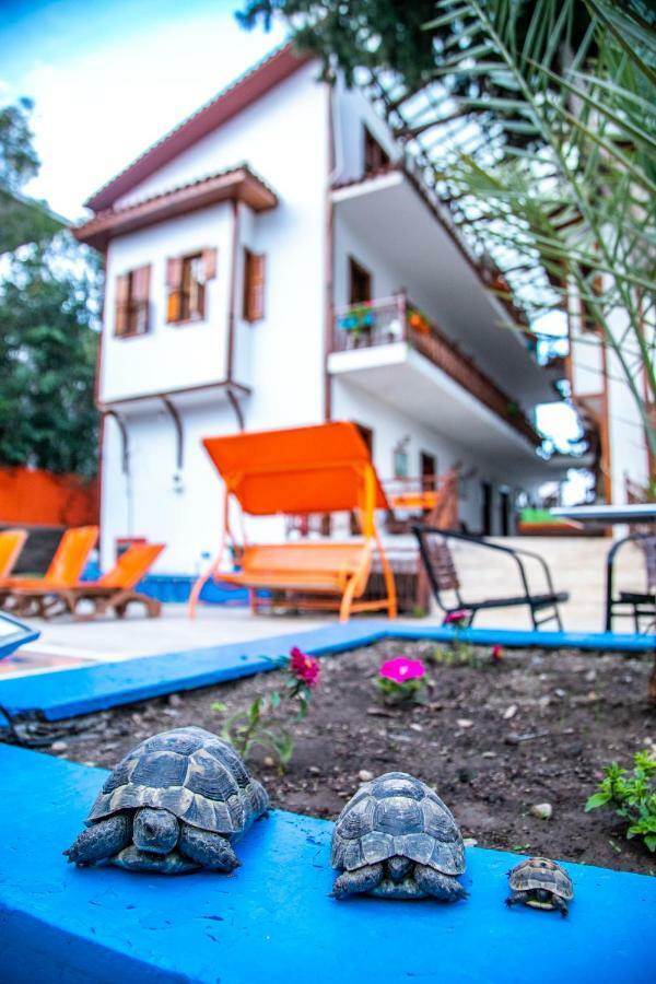 Kaliptus Hotel Kemer Kültér fotó